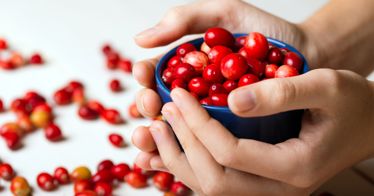 health benefits of cranberries 