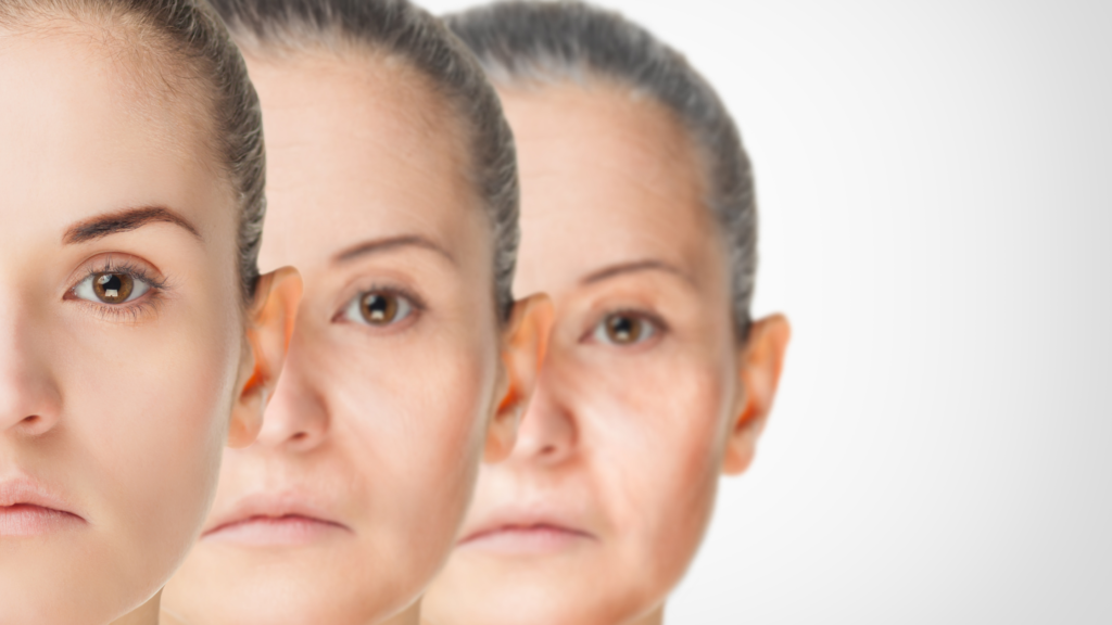 CoQ10 and ageing